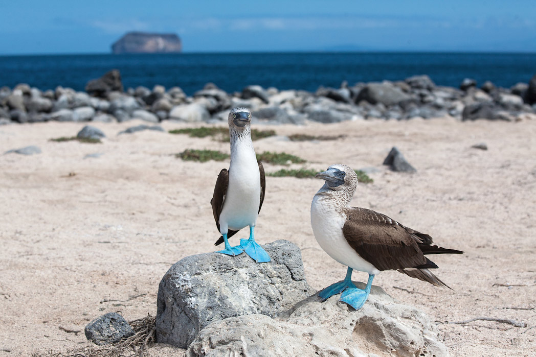 Silversea Cruises - Silver Moon - Environmentally Conscious Environment 5.jpg